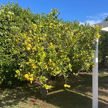 Willa Casa Miami